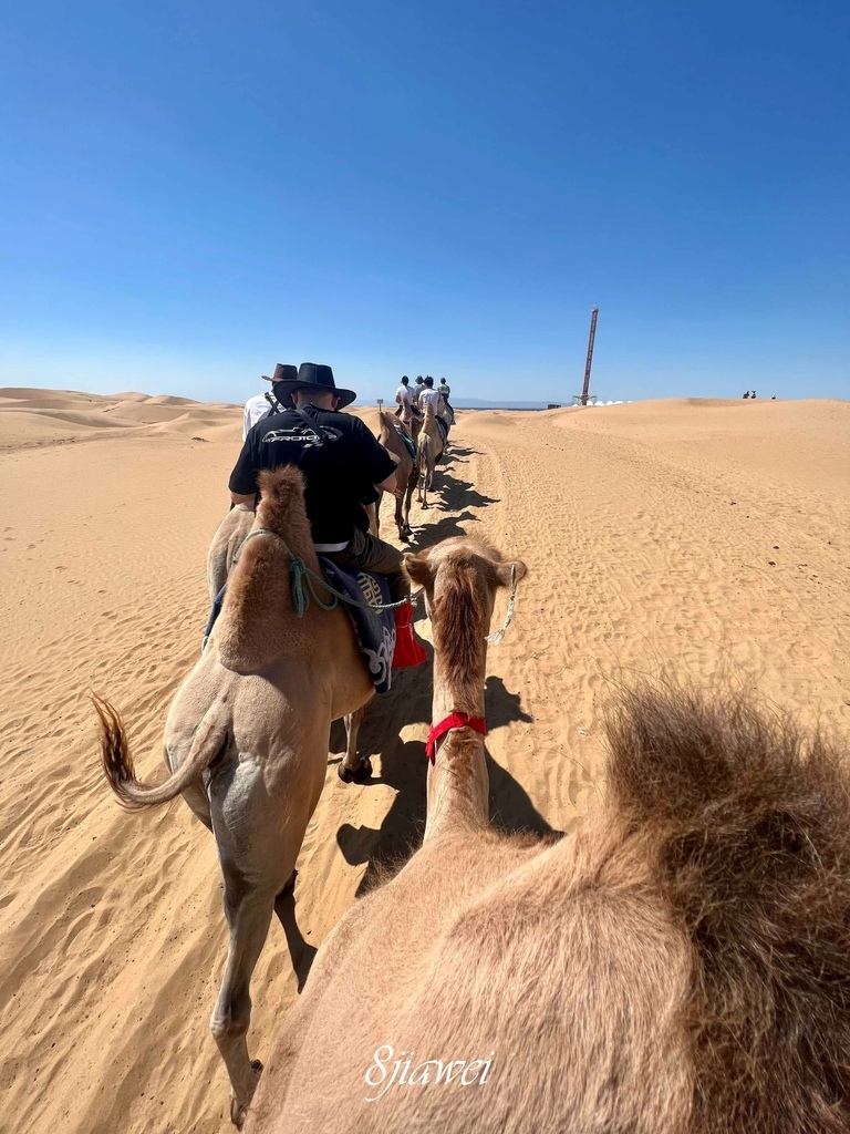 【內蒙古響沙灣景區】騎駱駝初體驗，沙漠風光配上遊樂園，來內蒙