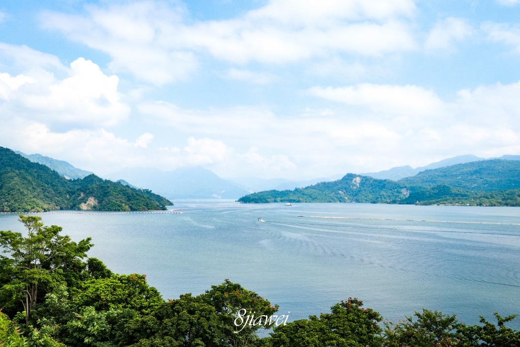 【曾文水庫山豬島】風景超美的曾文水庫，有著好兇好兇的山豬群，