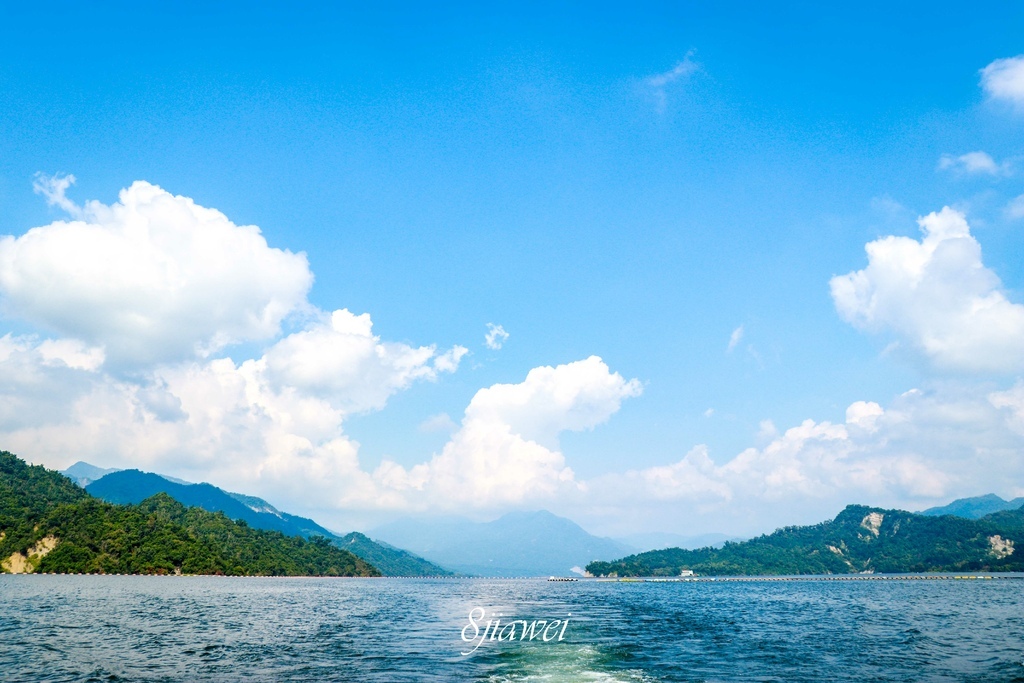 【曾文水庫山豬島】風景超美的曾文水庫，有著好兇好兇的山豬群，