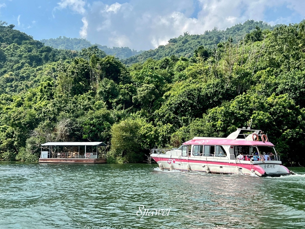 【曾文水庫山豬島】風景超美的曾文水庫，有著好兇好兇的山豬群，