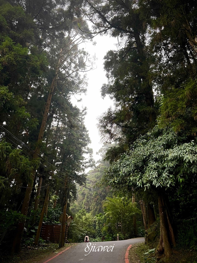 一人車宿初體驗！睡在起霧的阿里山和好冷好冷的武嶺！奮起湖便當