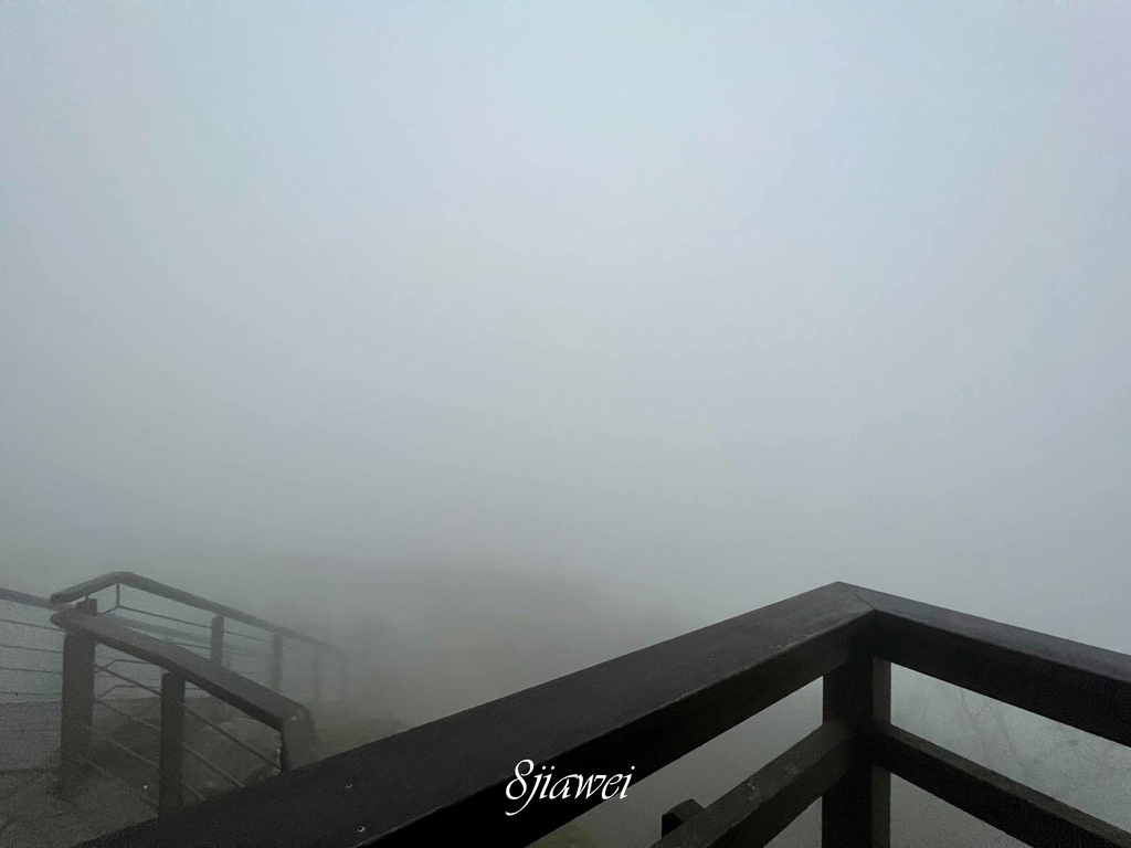 一人車宿初體驗！睡在起霧的阿里山和好冷好冷的武嶺！奮起湖便當
