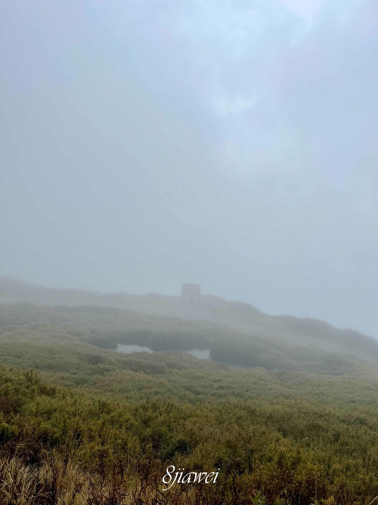一人車宿初體驗！睡在起霧的阿里山和好冷好冷的武嶺！奮起湖便當