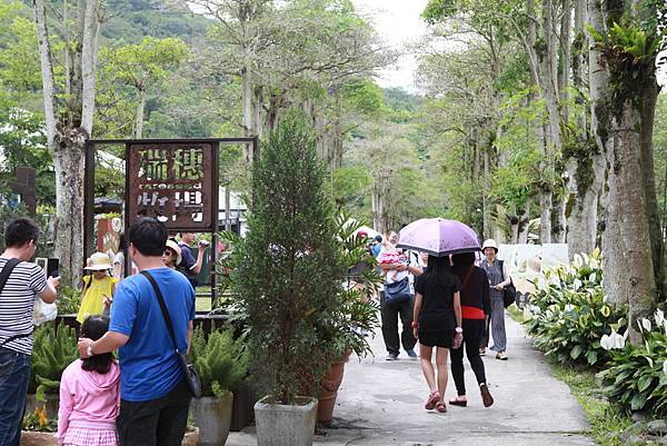 IMG_8145.JPG IMG_8145.JPG