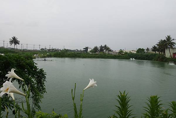 DSC05336.JPG DSC05336.JPG