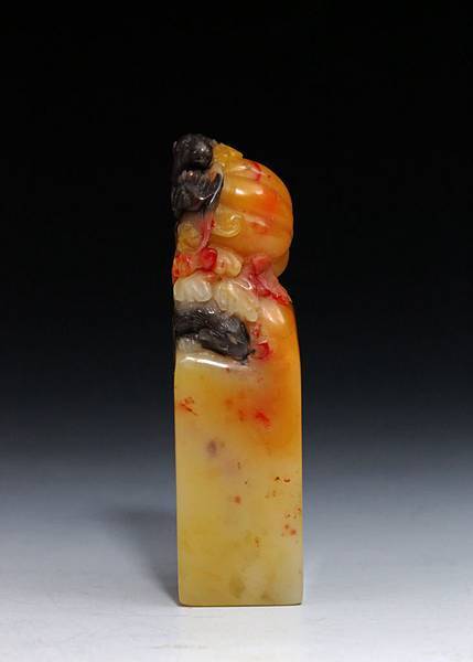 五彩芙蓉葡萄松鼠鈕章-1