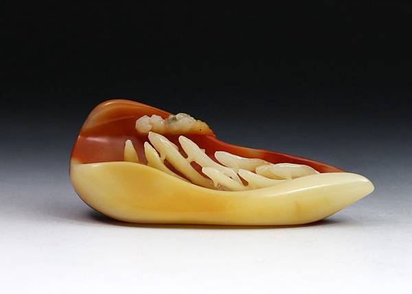 石瑞_魚躍龍門(三色芙蓉)-4