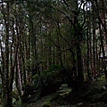 DSC06148.JPG