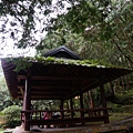 DSC06149.JPG