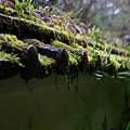 DSC06153.JPG