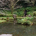 DSC06168.JPG