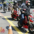 DSC00224-since.jpg
