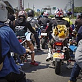 DSC00385-since.jpg