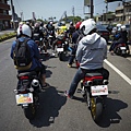 DSC00386-2log.jpg