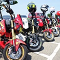 DSC00407.JPG