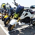 DSC00408.JPG