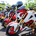 DSC00514.JPG