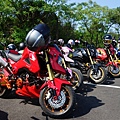 DSC00516.JPG