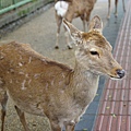DSC01226.JPG