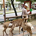 DSC01229.JPG