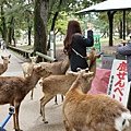 DSC01230.JPG