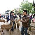 DSC01232.JPG