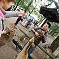 DSC01233.JPG