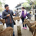 DSC01234.JPG
