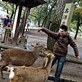 DSC01235.JPG