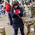 DSC01236.JPG