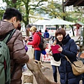 DSC01240.JPG