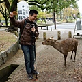 DSC01241.JPG