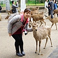 DSC01242.JPG