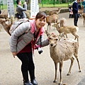 DSC01243.JPG