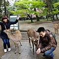 DSC01244.JPG