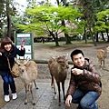 DSC01246.JPG
