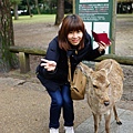DSC01250.JPG