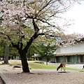 DSC01257.JPG