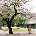DSC01258.JPG