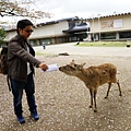 DSC01271.JPG