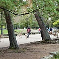 DSC01283.JPG