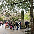 DSC01286.JPG