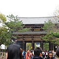DSC01287.JPG
