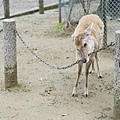 DSC01298.JPG
