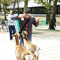 DSC01302.JPG