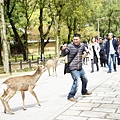 DSC01303.JPG