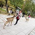 DSC01307.JPG