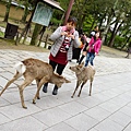 DSC01308.JPG