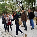 DSC01311.JPG