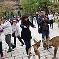 DSC01312.JPG